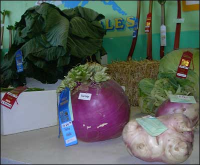 Vegetables at the 2007 Alaska State Fair. Photo copyright 2007 by Leon Unruh.