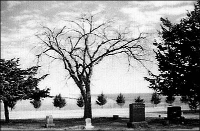Leafless tree in Pawnee Rock Cemetery. Photo 1975 by Leon Unruh.