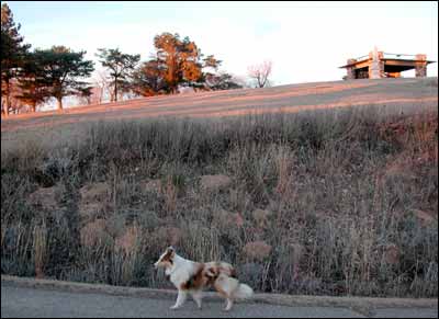 A sheltie walks around the Rock on its own. Photo copyright 2007 by Leon Unruh.