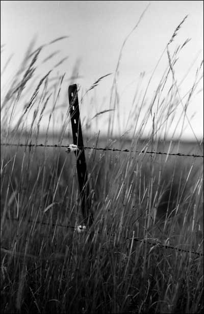 Grass near Pawnee Rock. Photo copyright 2008 by Leon Unruh.