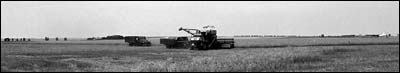 Wheat harvest, 1974, west of Pawnee Rock, Kansas, with the salt plant in the background. Photo copyright 2009 by Leon Unruh.