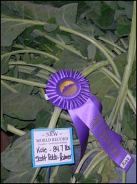 World-record kale at the 2007 Alaska State Fair. Photo copyright 2007 by Leon Unruh.