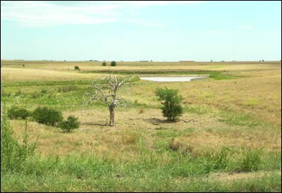 Pond and trees near the Bergthal Mennonite Church north of Pawnee Rock. Photo copyright 2009 by Leon Unruh.