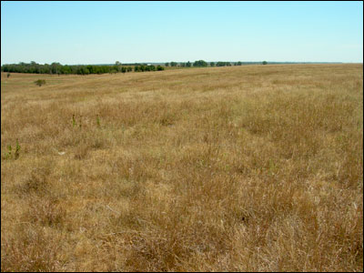 The plains north of Pawnee Rock. Photo copyright 2008 by Leon Unruh.