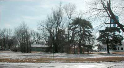 Cedars that grew on the north side of the old high school in Pawnee Rock. Photo copyright 2005 by Leon Unruh.