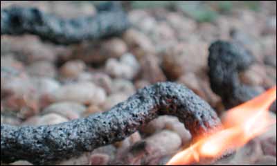 A snake burns in a Pawnee Rock back yard. Photo copyright 2007 by Leon Unruh.