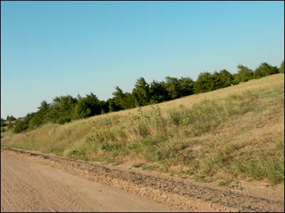 Road north of Pawnee Rock. Photo copyright 2008 by Leon Unruh.