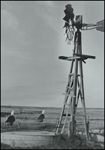 Wooden windmill, Pawnee County, 1974. Copyright Leon Unruh.