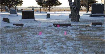 Mrs. White will be buried near the row of cedars in the new section of the cemetery. Jim Dye made this photo.