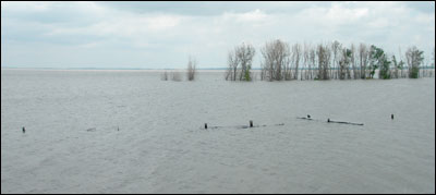 Cheyenne Bottoms Wildlife Area with more water than people gave it room for. Photo copyright 2007 by Leon Unruh.