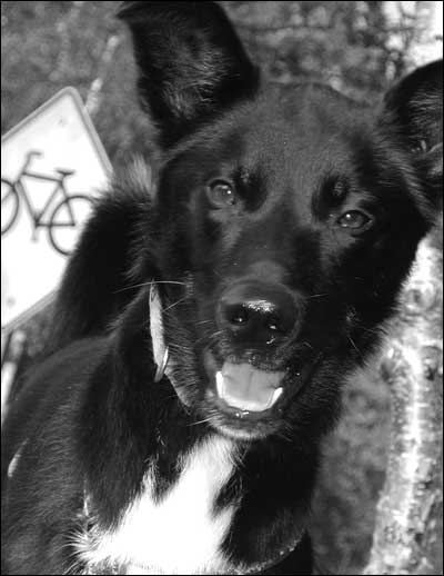Photo copyright 2008 by Leon Unruh.
