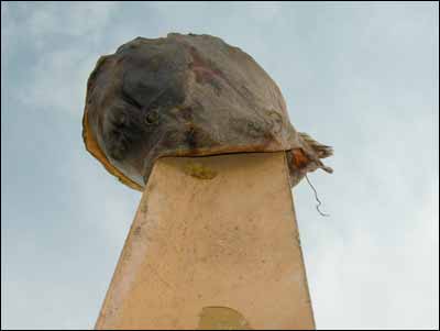 Catfish head on a fencepost near Hoisington, Kansas. Photo copyright 2007 by Leon Unruh.