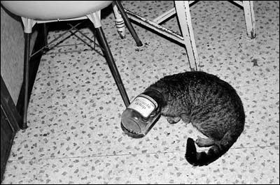 Photo copyright 2008 by Leon Unruh.