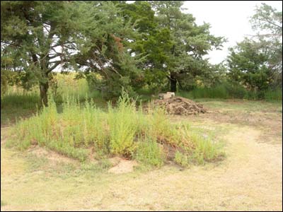 Cemetery dirt pile. Photo copyright 2008 by Leon Unruh.