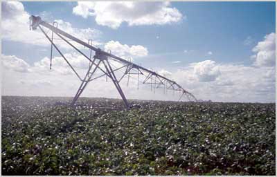 A center-pivot irrigation system at work. Photo from University of Kansas.