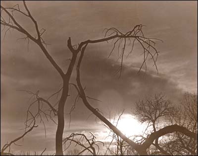 Trees along Ash Creek near Pawnee Rock in the winter. Photo copyright 1974 by Leon Unruh.