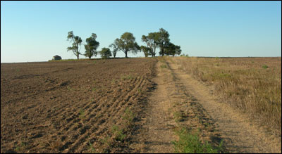 A former farmstead north of Dundee, Kansas. Photo copyright 2009 by Leon Unruh.