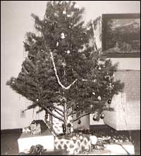 Unruh family tree, 1968, Pawnee Rock. Photo copyright 1968 by Leon Unruh.