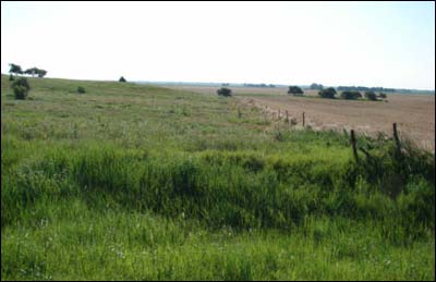 Unbroken ground northeast of Pawnee Rock. Photo made June 30, 2009, by Dewey Ball. Photo copyright 2009 by Dewey Ball.