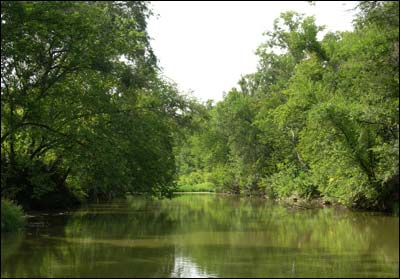 Pawnee Creek in Larned, August 2006. Photo copyright 2010 by Leon Unruh.