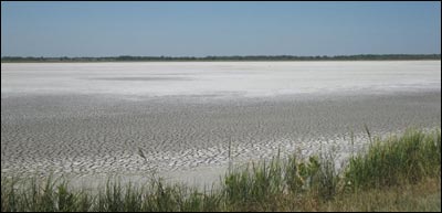 A dry pond at Quivira National Wildlife Refuge in the summer of 2011. Photo copyright 2011 by Larry Mix.