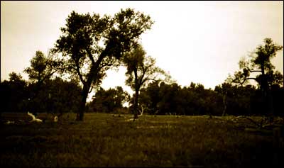 Arkansas River lowlands. Photo copyright 2008 by Leon Unruh.
