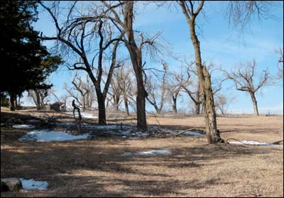 Ice damage at Pawnee Rock State Park, winter 2007-08. Photo copyright by Larry Mix.