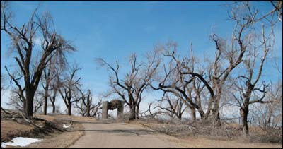 Ice damage at Pawnee Rock State Park, winter 2007-08. Photo copyright by Larry Mix.