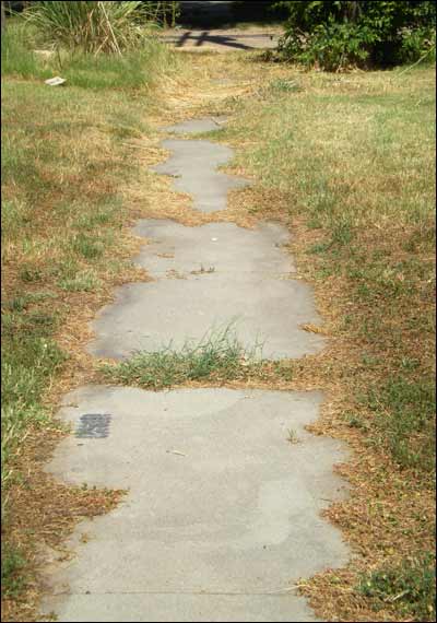 Sidewalk near city hall, Pawnee Rock. Photo copyright 2011 by Leon Unruh.