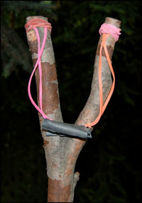 Slingshot. Photo copyright 2008 by Leon Unruh.