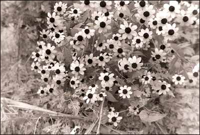 Photo of Santa Fe Avenue in the early 1970s. Photo copyright by Leon Unruh.